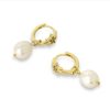 La Maison Earrings | Cubic Zirconia Star Huggie Hoops With Freshwater Pearls - La Maison